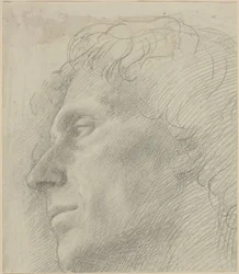 左向きの男の頭