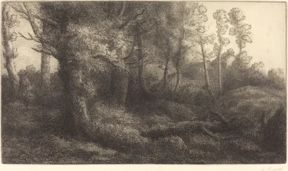 森の中で (Lisiere de foret)