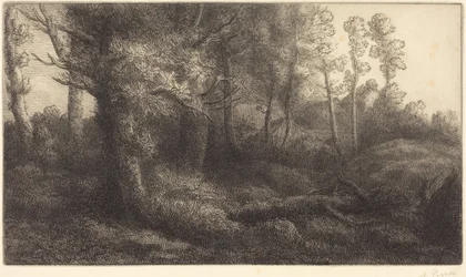 森の中で（Lisière de forêt）