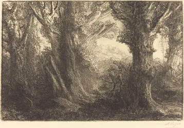 コントヴィルの森で (Dans la foret de Conteville)