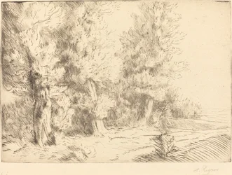 フォンテーヌブローの森にて Dans la foret de Fontainebleau.