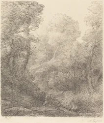 風景: 朝の霧 風景: 朝の霧。