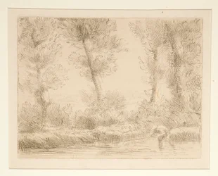 Les bords de la Liane (リアーヌのほとり)