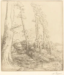 小さな池 (La petit mare)