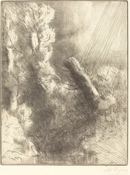 雨の中のフォンテーヌブローの思い出 Souvenir de Fontainebleau Rain effect.