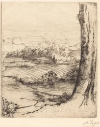 葦の眺め (Coin de roseau)