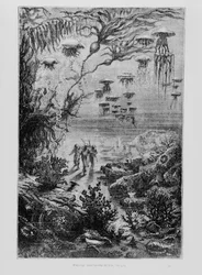 アンリテオフィルヒルディブランド（1824-97）c.1869-70によって刻まれたジュールヴェルヌ（1828-1905）による「海底20,000リーグ」のイラスト