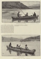 北米のサケ釣り