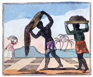 肥料、1826
