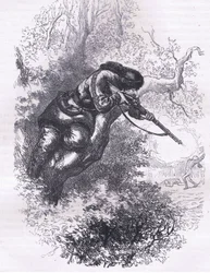 木の上に立つアメリカ人射手（1900年頃、Cassell, Petter & Galpin社発行のCassells History of the United Statesからのイラスト）（リトグラフ版