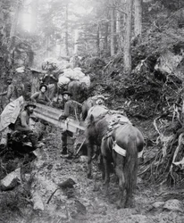 クロンダイクゴールドラッシュ（1897-98年）でチルクート峠に向かうダイアトレイルを登る（モノクロ写真）。