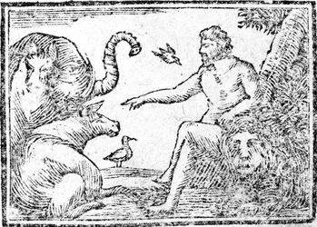 動物に名前を付けるアダム、聖書の歴史の要約からの挿絵、1794年発行