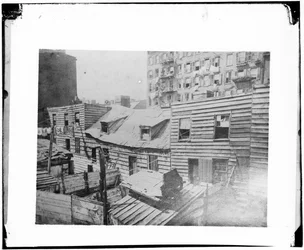 死の巣、1872