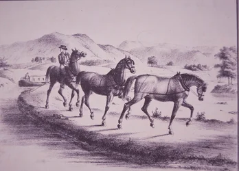 エリー運河でカナルボートを引く馬たち（彫刻