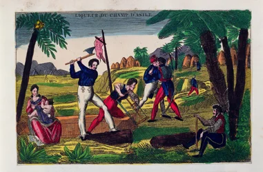Champ dAsile liquor、c.1830のラベル