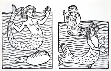 人魚の女性と男性、トーマス・キートリー（１７８９-１８７２）著『ノーム、妖精、エルフ、その他の小人たちの世界案内』より、１８８０年刊行