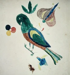 インコ