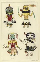 パウティワ、チピクネ、ハクト、カイアスタカーナ（カラーリトグラフ）