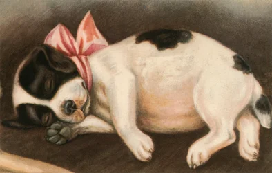 ピンクのリボンをつけたスリーピング・ポインターの子犬