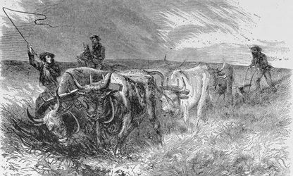プレーリーソッドプラウ、「ハーパーズウィークリー」のイラスト、1868年、「アメリカのページェント、第3巻」、ラルフヘンリーガブリエル、1926年
