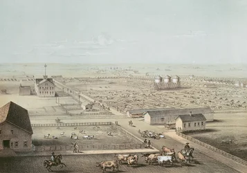 ユニオンストックヤード、シカゴ