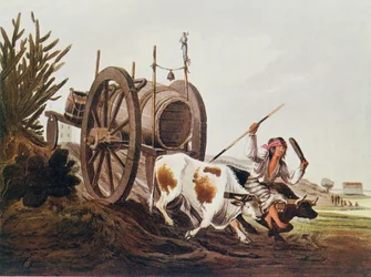 水のカート、Vidals Picturesque Illustrations of Buenos Aires and Montevideo、pub。 1820年、河岸プレートのロマンス、Vol。私、WHケーベル作、1914年