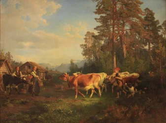 家路につく牛たち