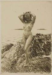 Hårtång (海藻リース)