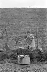 クロトーネの田舎町 - 小さな洗濯屋さん、