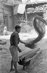 麻の加工、くずの除去