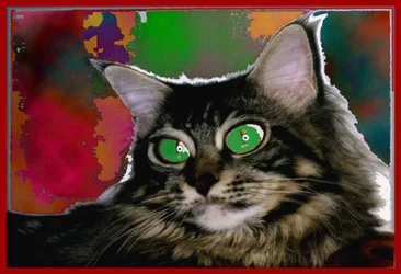 STREGATTONE, 2004 （デジタルペインティング）