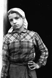 イタリア、カラブリアでオリーブ摘みとして働く少女、1955年頃（モノクロ写真）