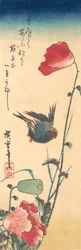ブルーバードとポピー、1832-34., 1832-34.