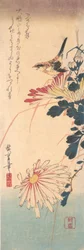 ミソサザイと菊、約。 1830年頃。 1830年。