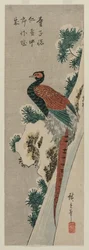 1830年代後半または1840年代初頭の雪に覆われた滝のキジ。