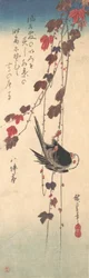 秋のツタにとまるエナガ、1835年頃。