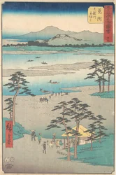 見つけ、 １８５５。、 １８５５。
