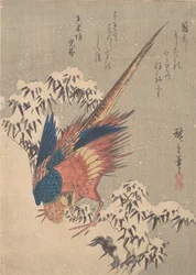 ヒルサイドの雪を積んだ竹の間のキジ、カリフォルニア州。 1840年頃。 1840年。
