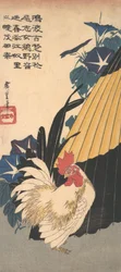 おんどり、傘、朝顔、カリフォルニア州。 1830年頃。 1830年。