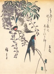 ツバメと藤、1840年代半ば、1840年代半ば。