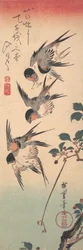 ツバメと出芽ワイルド チェリー、カリフォルニア州。 1835年頃。 1835年。
