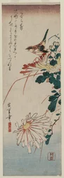 ウグイスと菊、1830年代半ば。