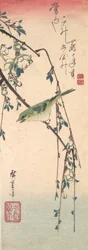 梅の枝のウグイス、約。 1835年頃。 1835年。