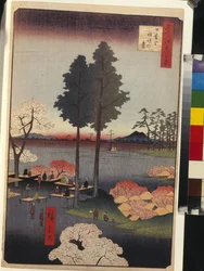 名所江戸百景 日暮里諏訪崖 - 歌川広重 (1797-1858) - 1856-1858 - カラー木版 - 国立エルミタージュ美術館、サンクトペテルブルク