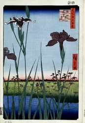 「名所江戸百景」：「菖蒲と堀切」 (堀切の菖蒲 (名所江戸百景) 歌川広重 (1797-1858) 版画) 1856-1858 サンクトペテルブルク エルミタージュ美術館