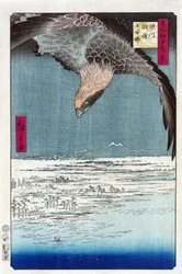 Estampe japonaise: La plaine Juman Tsubo a Susaki, Fukagawa (Tokyo, Japon). Serie cent vues celebres d