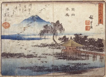 固田に降りる雁（色木版画）
