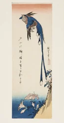 カササギとアザレア（カラー木版画