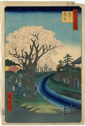 江戸の多摩川河畔で花見をする人々を描いた版画。