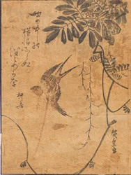 飛翔する鳥と植物の研究
